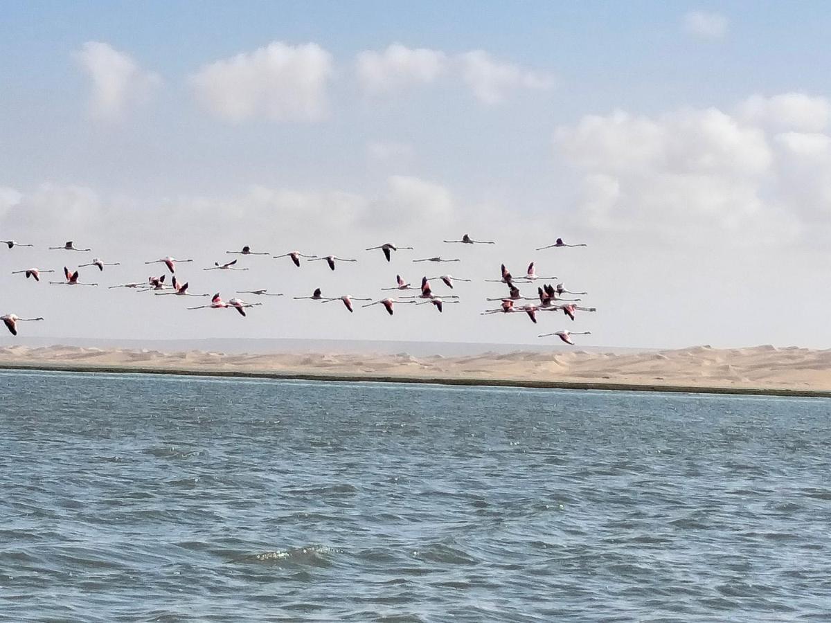 Hotel El Ghazi Tarfaya Екстер'єр фото