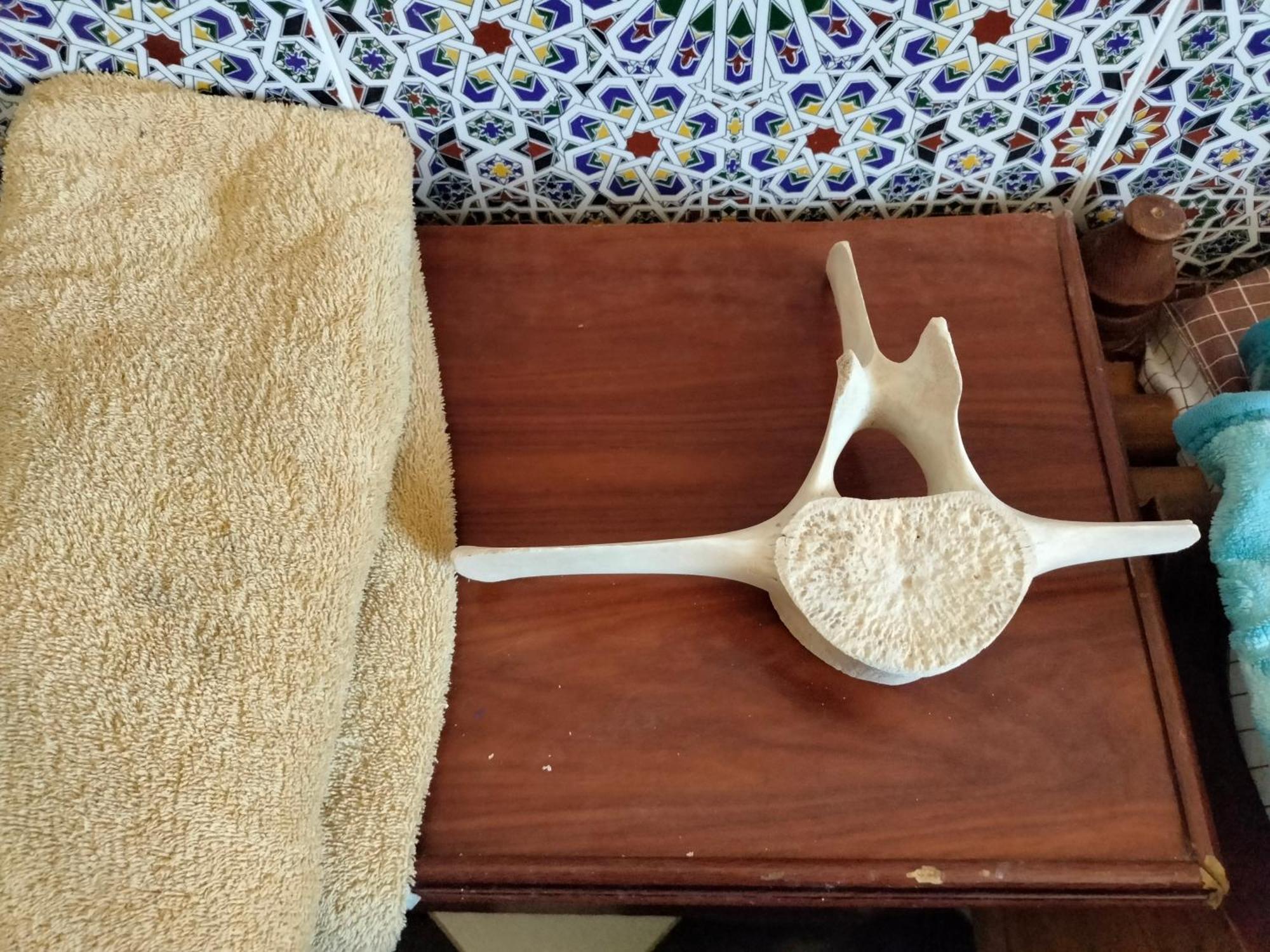 Hotel El Ghazi Tarfaya Екстер'єр фото